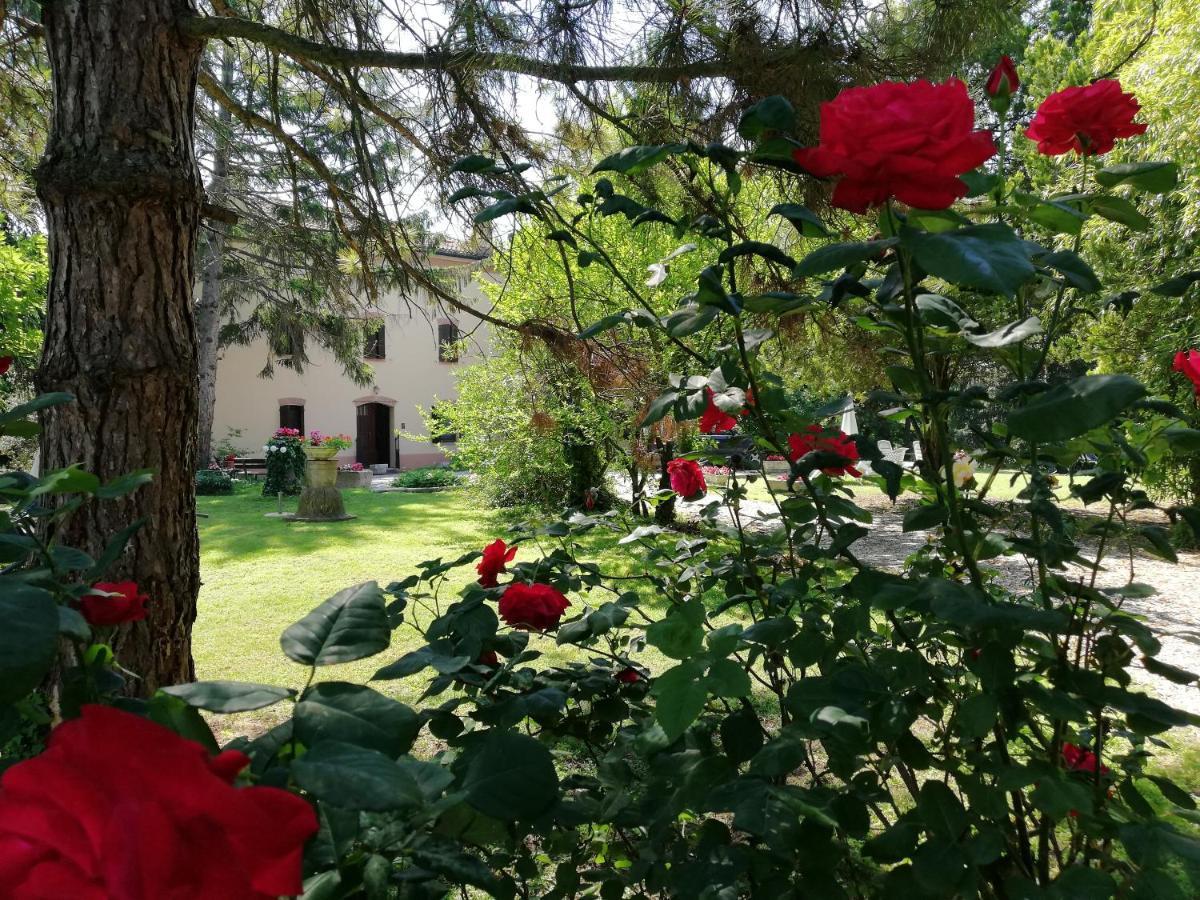 B&B Casa Manuela Мантуя Екстер'єр фото